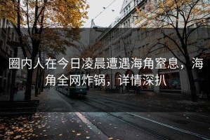 圈内人在今日凌晨遭遇海角窒息，海角全网炸锅，详情深扒
