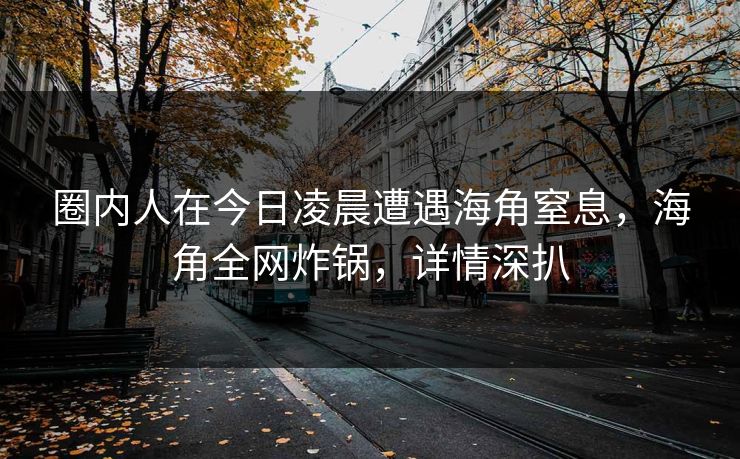 圈内人在今日凌晨遭遇海角窒息，海角全网炸锅，详情深扒
