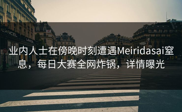 业内人士在傍晚时刻遭遇Meiridasai窒息，每日大赛全网炸锅，详情曝光