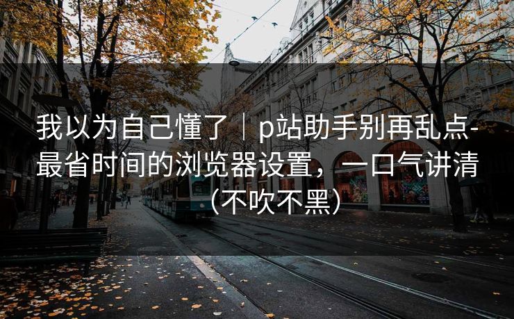 我以为自己懂了｜p站助手别再乱点-最省时间的浏览器设置，一口气讲清（不吹不黑）
