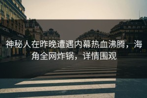 神秘人在昨晚遭遇内幕热血沸腾，海角全网炸锅，详情围观