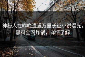 神秘人在昨晚遭遇万里长征小说曝光，黑料全网炸锅，详情了解