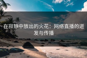 在寂静中放出的火花：网络直播的迸发与传播
