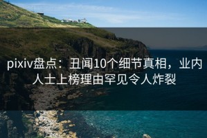 pixiv盘点：丑闻10个细节真相，业内人士上榜理由罕见令人炸裂