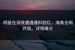 明星在深夜遭遇爆料脸红，海角全网炸锅，详情曝光